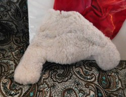 icebreaker jacket choice bk